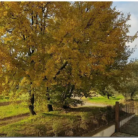 Villino Cortona: Tuscan Retreat With Private Pool And Wi-fi Holiday home *